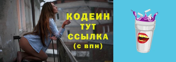 индика Вязники